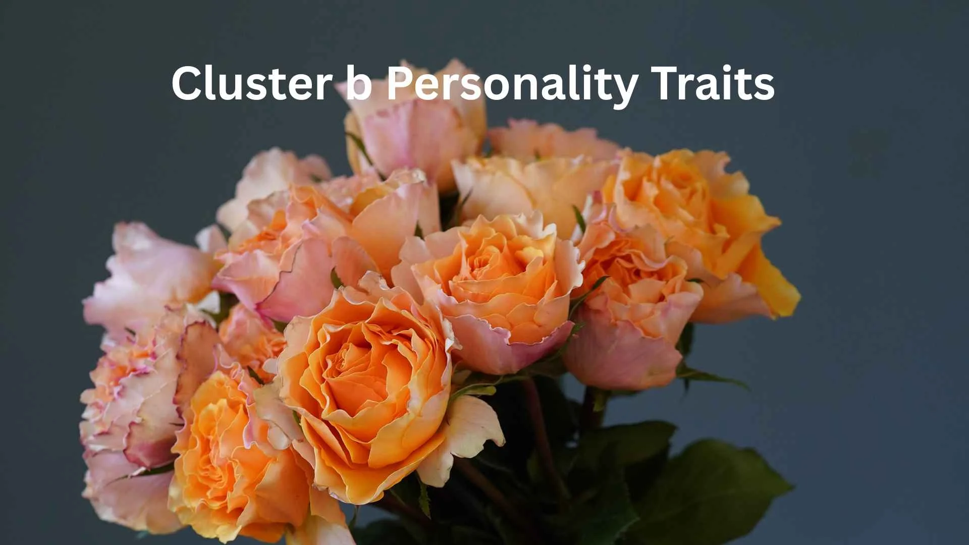 cluster b personality traits