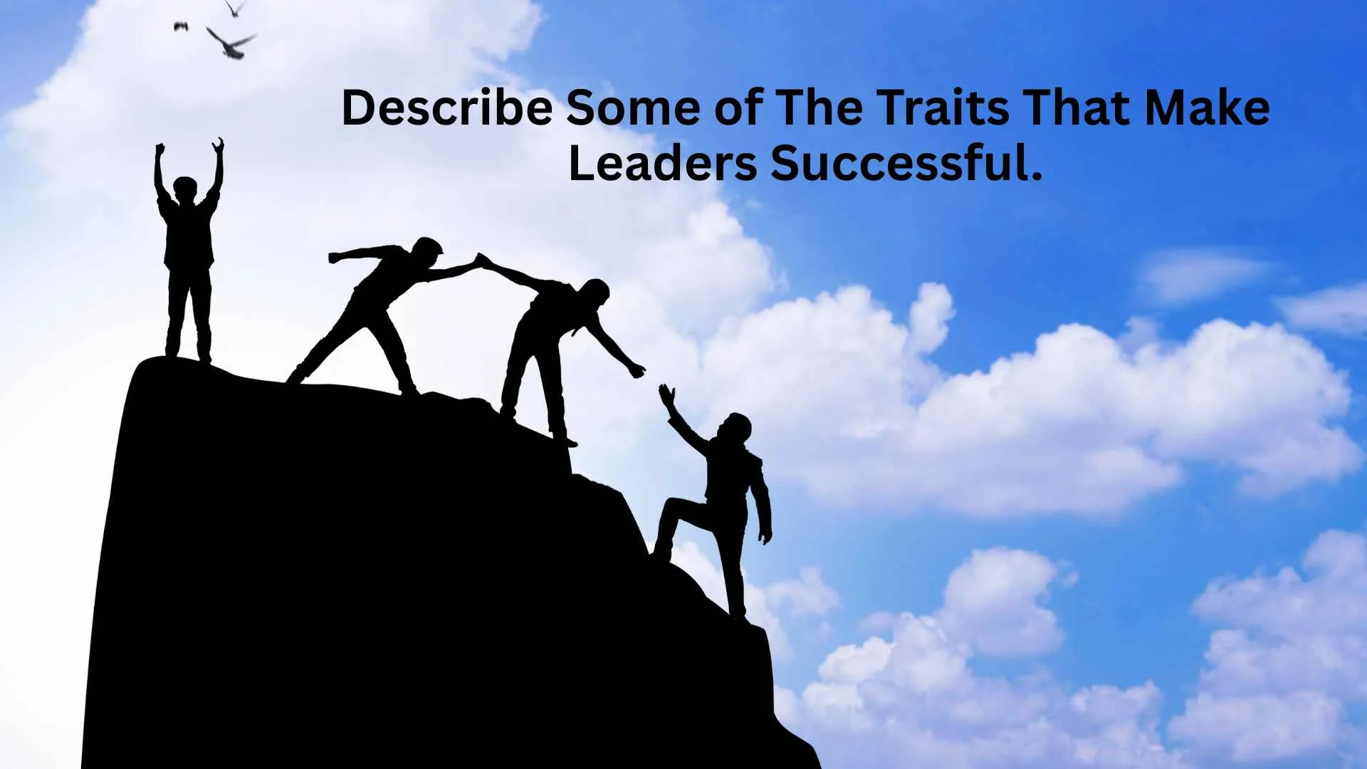 describe some of the traits that make leaders successful.