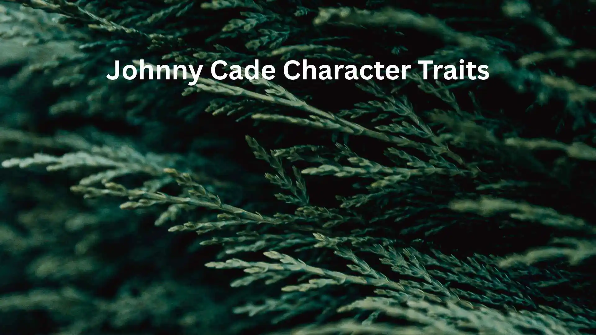 johnny cade character traits
