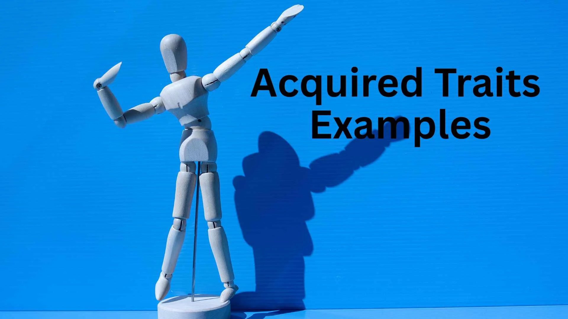 acquired traits examples