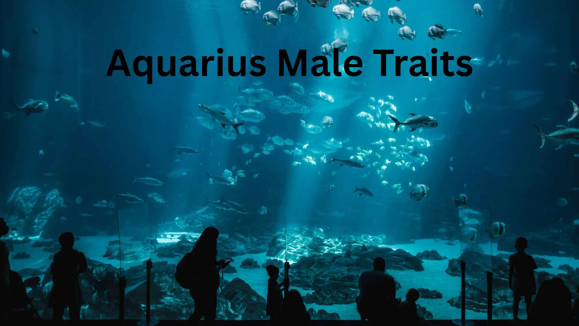 aquarius male traits