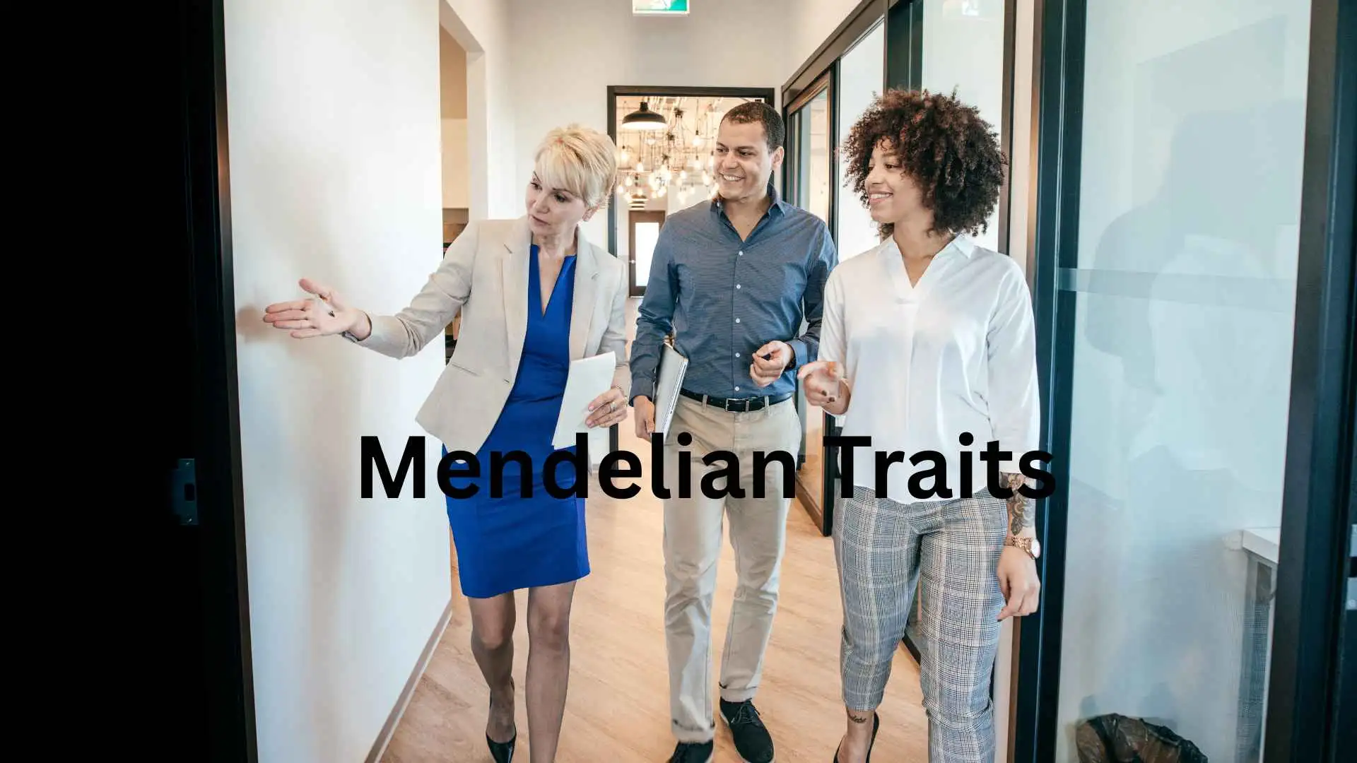 mendelian traits