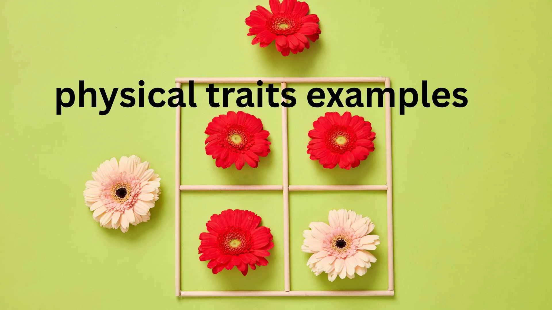 physical traits examples
