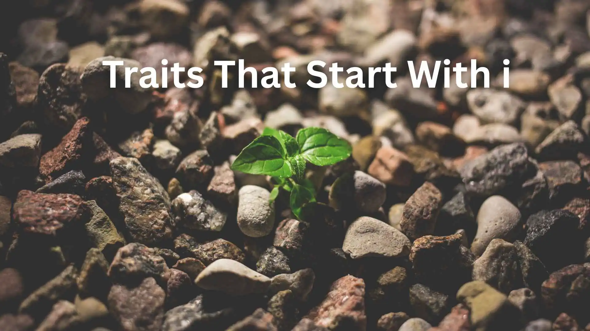 traits that start with i