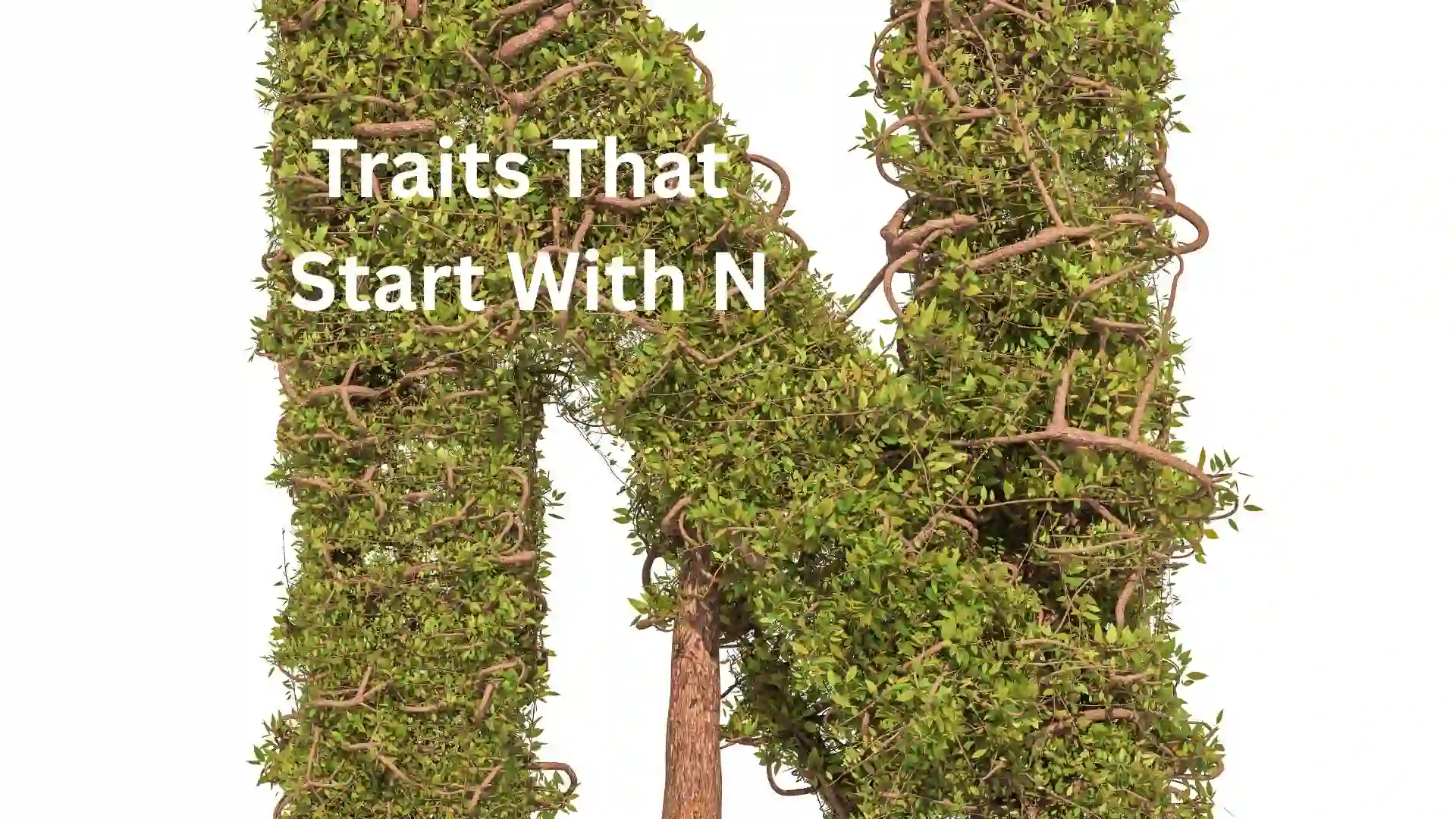 traits that start with n